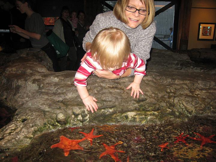 Seattle Aquarium 11.JPG